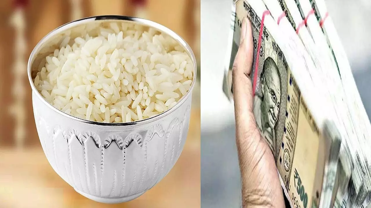 दुनिया का सबसे महंगा चावल, जिसे बूढ़े लोग खाएं तो होगा जवानी का अनुभव, जाने क्या है इसकी कीमत