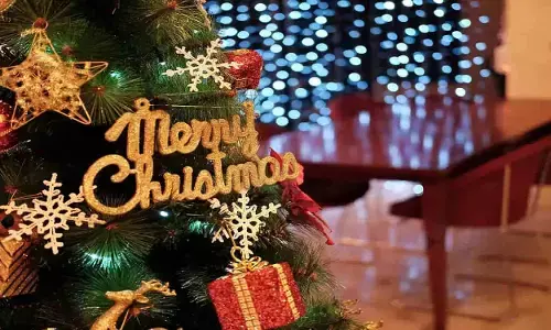 Christmas Holidays: क्रिसमस के दौरान घूमने के लिए जाएँ रोमांचक जगह Christmas Holidays: क्रिसमस के दौरान घूमने के लिए जाएँ रोमांचक जगह