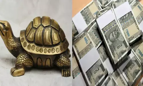 घर में कछुआ रखने से होंगे फायदे ही फायदे, मिलेंगे पैसे ही पैसे, हर जगह होगी पैसो की बारिश