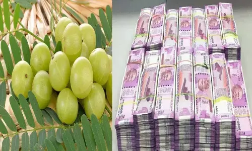 घर में रखे आंवले से करे टोटका, बन जायेंगे मालामाल, करोड़ो की हो जाएंगी प्रापर्टी, घर के हर कोने में होगा पैसा ही पैसा, जानिए!