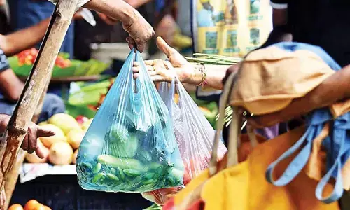Municipal corporations campaign to make polythene free market just a show