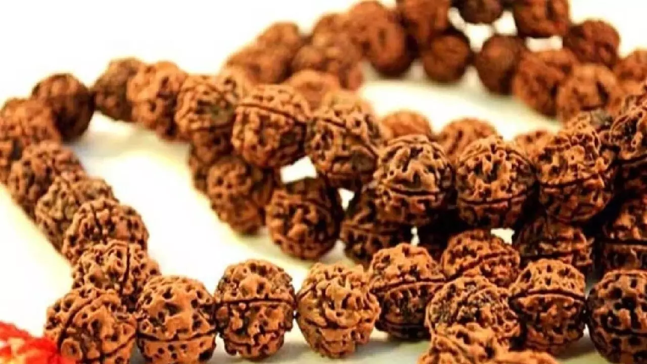 रुद्राक्ष पहनने के बाद होने वाले लाभ के बारे में जानकर हिल जाएगा आपका दिमाग, जानिए !