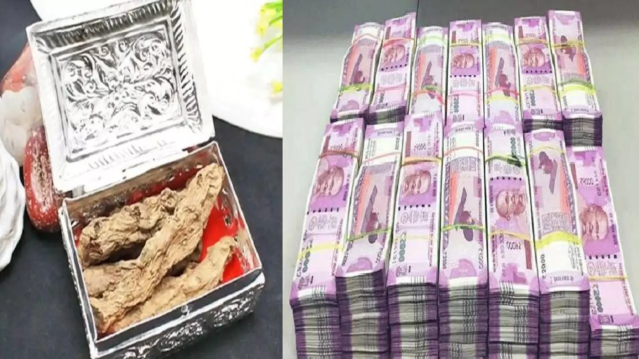 काली हल्दी से करे ये छोटा सा टोटका, बन जाएंगे मालामाल, मुकेश अंबानी जैसे बन जायेंगे बिजनेसमैन हर दिन घर में गिरेंगे लाखो रूपए