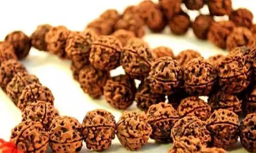 रुद्राक्ष किया है धारण तो जान ले ये खबर, नहीं तो हो जाएंगे परेशान रुद्राक्ष किया है धारण तो जान ले ये खबर, नहीं तो हो जाएंगे परेशान