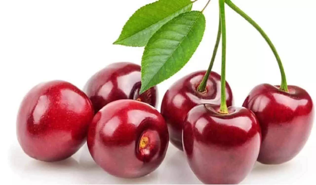 गुणकारी चेरी के गजब के फायदे: Gunkaari Cherry Ke Gajab Ke Fayade