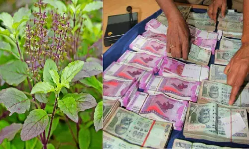 तुलसी के तीन पत्ते बना देंगे आपको अमीर, अंबानी से लेकर कई बिजनेसमैन करते है ये टोटका, हर जगह होगी प्रापर्टी ही प्रापर्टी, होगी पैसो की बारिश, जानिए! तुलसी के तीन पत्ते बना देंगे आपको अमीर, अंबानी से लेकर कई बिजनेसमैन करते है ये टोटका, हर जगह होगी प्रापर्टी ही प्रापर्टी, होगी पैसो की बारिश, जानिए!