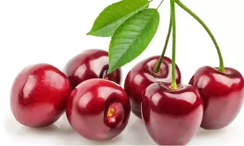 गुणकारी चेरी के गजब के फायदे: Gunkaari Cherry Ke Gajab Ke Fayade