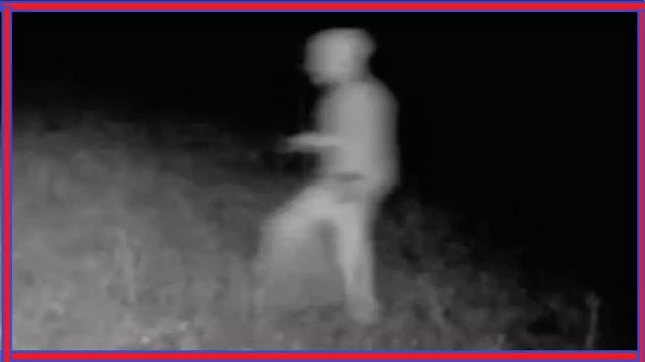 शिकारी ने UFO हॉटस्पॉट वाले इलाके में खींची अजीब सी खोपड़ी वाले एलियन की फोटो, लोग डर गए शिकारी ने UFO हॉटस्पॉट वाले इलाके में खींची अजीब सी खोपड़ी वाले एलियन की फोटो, लोग डर गए