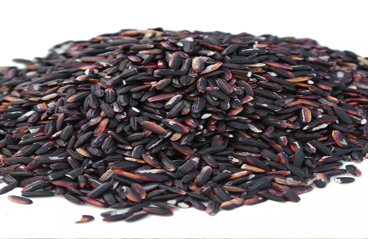Business Idea: 500 किलो बिकने वाले इस काले चावल की करे खेती, पलभर में बन जायेंगे लखपति, जानिए कैसे?