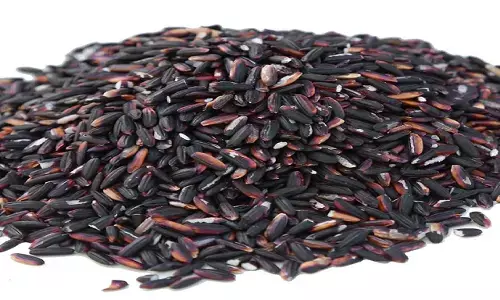 Business Idea: 500 किलो बिकने वाले इस काले चावल की करे खेती, पलभर में बन जायेंगे लखपति, जानिए कैसे?