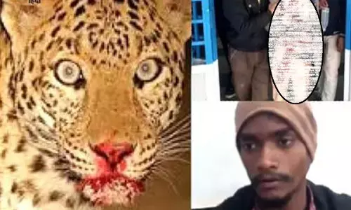 पचमढ़ी में तेंदुए ने हमला किया तो बहादुर शख्स ने उसे ही कचर के रख दिया