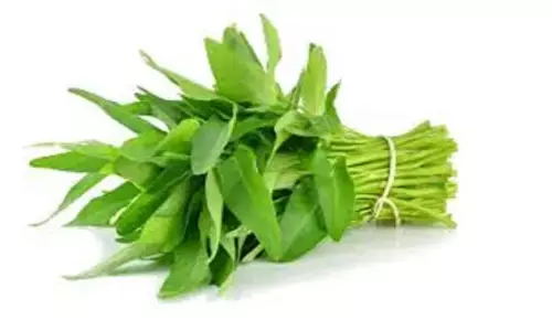 नारी के साग के फायदे: Nari Ke Saag Ke Fayde