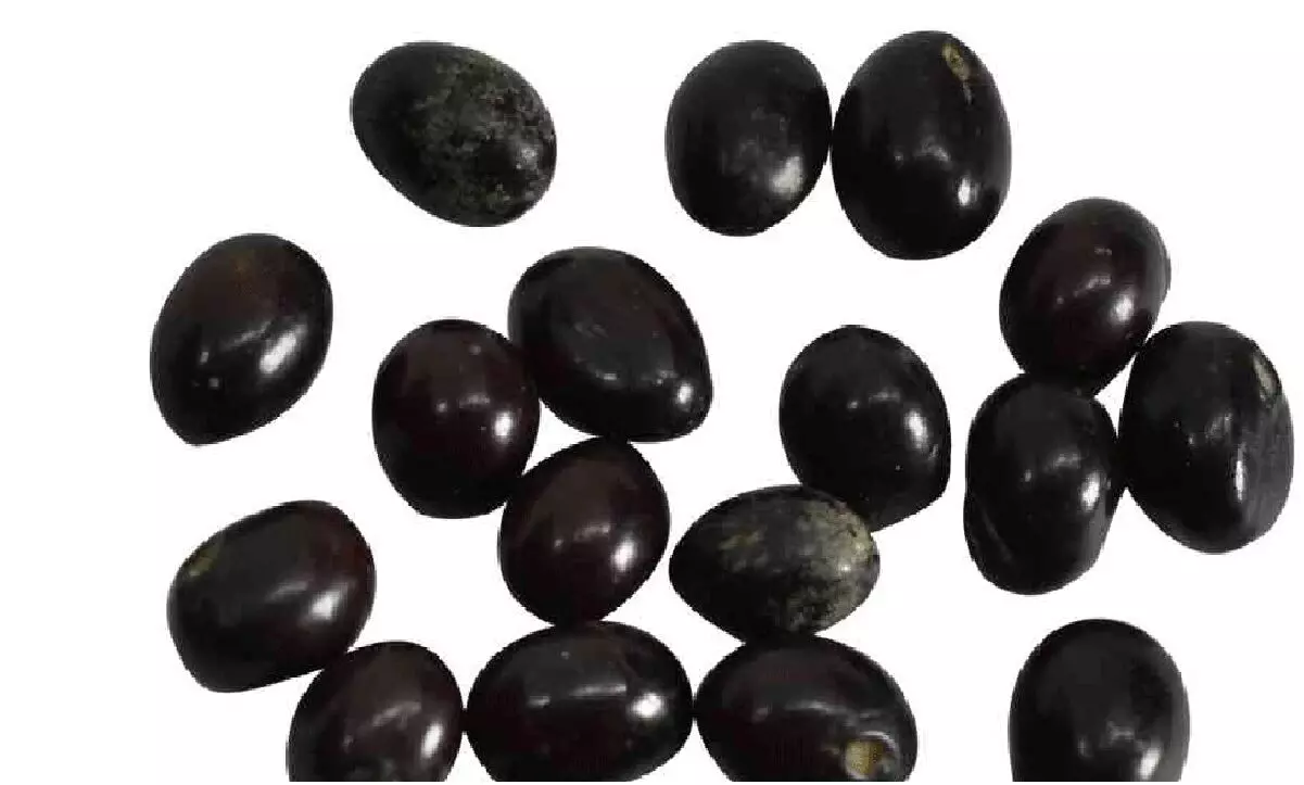 काली गुंजा से टोटका कर दिन-रात होगी आपकी तरक्की, घर के आलमारी से लेकर पूरे घर में होंगे पैसे ही पैसे, बनेगे सबसे बड़े बिजनेसमैन काली गुंजा से टोटका कर दिन-रात होगी आपकी तरक्की, घर के आलमारी से लेकर पूरे घर में होंगे पैसे ही पैसे, बनेगे सबसे बड़े बिजनेसमैन