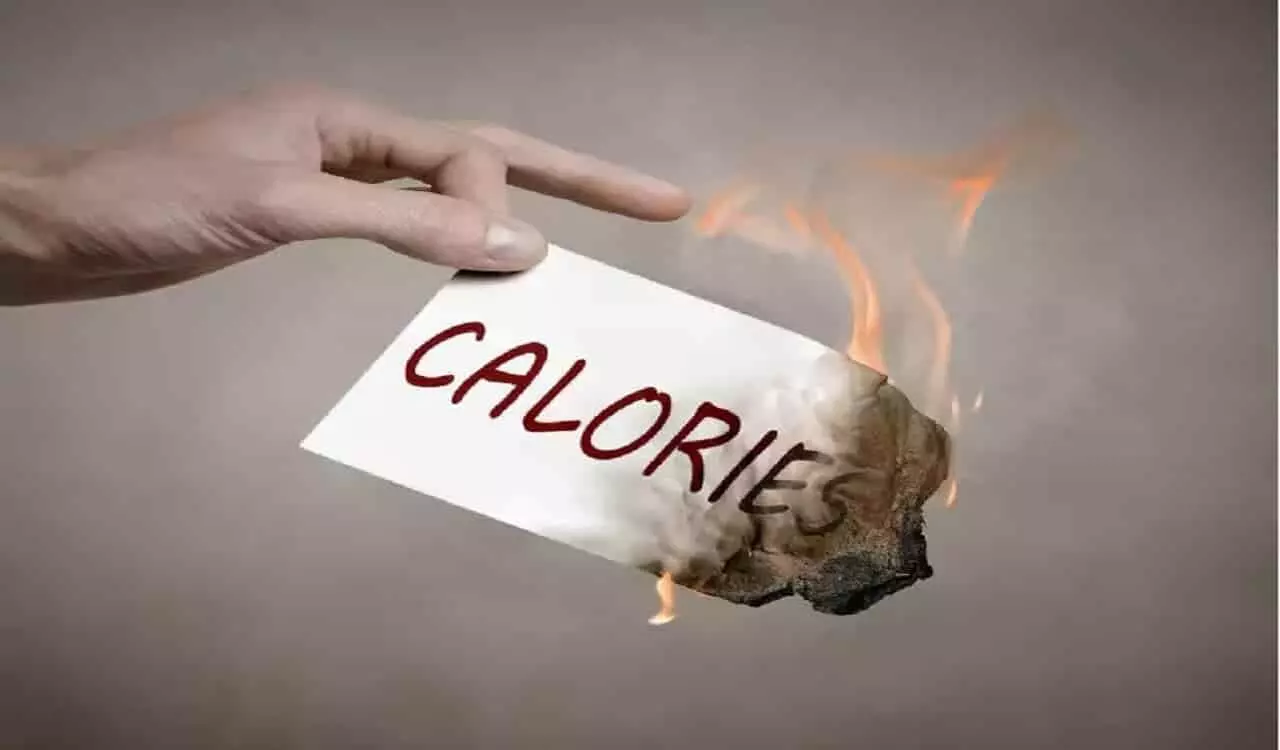 Fat Burning Foods: फूड्स जो हैं सेहतमंद और जलाते हैं शरीर की एक्स्ट्रा कैलोरी