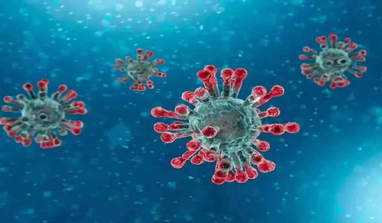 Corona Virus: T-Cells बनेंगी वायरस के खिलाफ सुरक्षा कवच