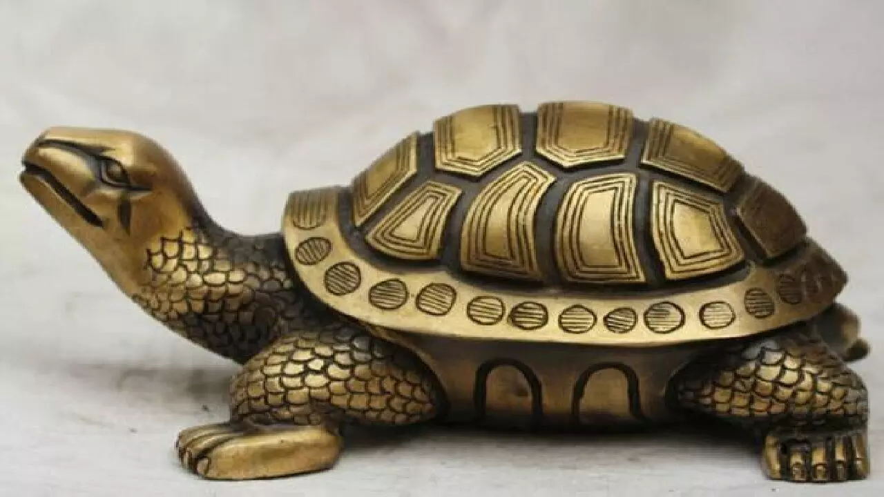घर और कार्यालय में रख ले कछुआ फिर बरसेगा पैसा आप हो जाएंगे मालामाल, जानिए कैसे? घर और कार्यालय में रख ले कछुआ फिर बरसेगा पैसा आप हो जाएंगे मालामाल, जानिए कैसे?