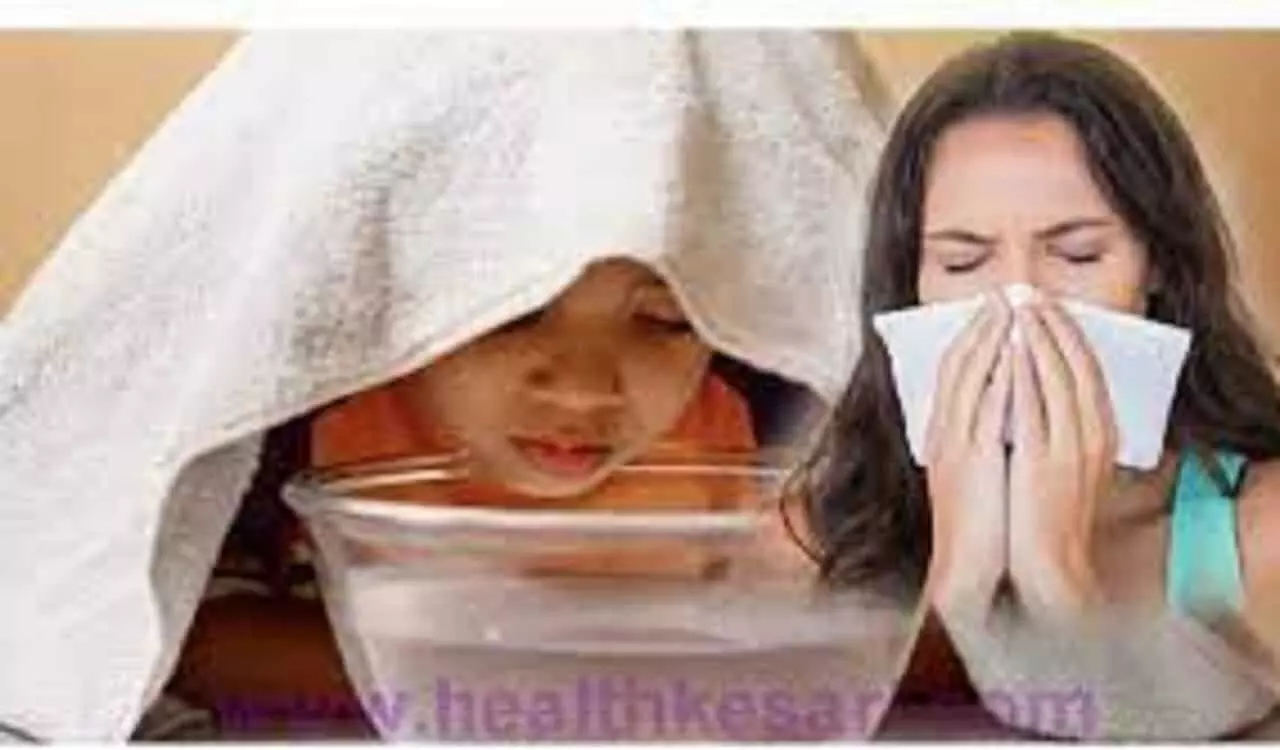 सर्दी जुकाम में स्टीम लेने के फायदे: Sardi Jukaam Me Steam Lene Ke Fayde सर्दी जुकाम में स्टीम लेने के फायदे: Sardi Jukaam Me Steam Lene Ke Fayde