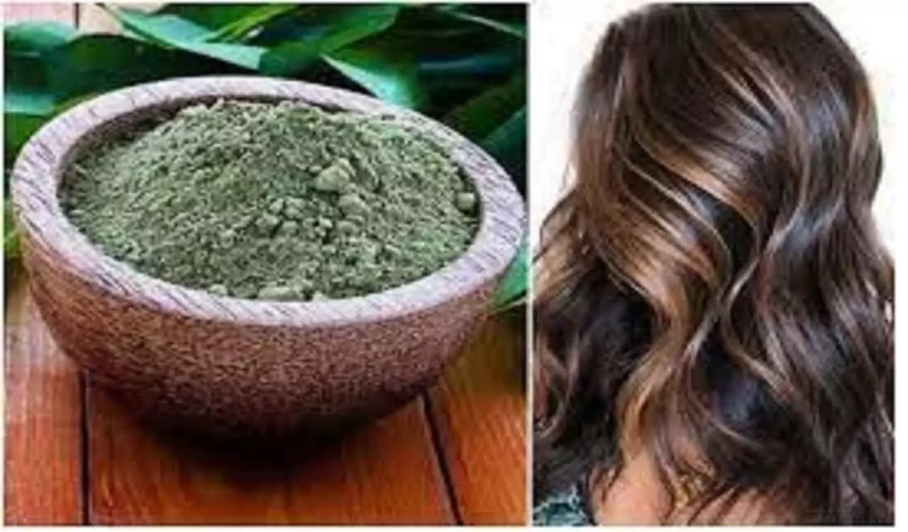 Henna For Hair: मेहंदी ज्यादा असर करेगी अगर मिलाएंगे ये चीजें