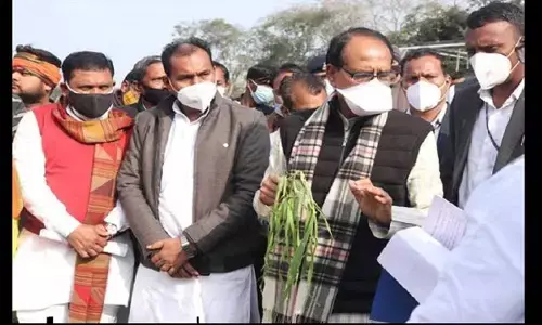 मध्य प्रदेश के किसानों के लिए बड़ी खुशखबरी, ओलावृष्टि से नुकसान की भरपाई करेगी सरकार