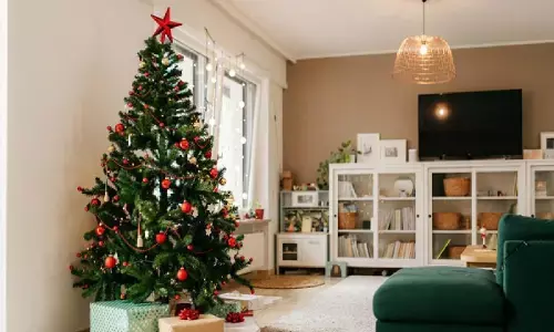 घर में जल्दी से लगा ले क्रिसमस ट्री, घर में जमकर होगी पैसो की बारिश घर में जल्दी से लगा ले क्रिसमस ट्री, घर में जमकर होगी पैसो की बारिश