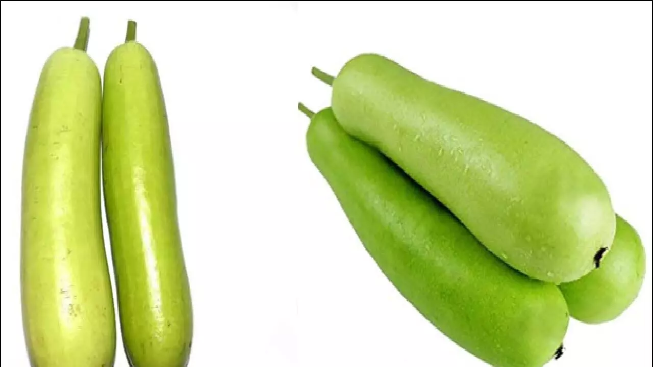 अगर सपने में दिख जाए लौकी तो होगा कुछ ऐसा कि उड़ जाएंगे आपके होश, जानिए! अगर सपने में दिख जाए लौकी तो होगा कुछ ऐसा कि उड़ जाएंगे आपके होश, जानिए!