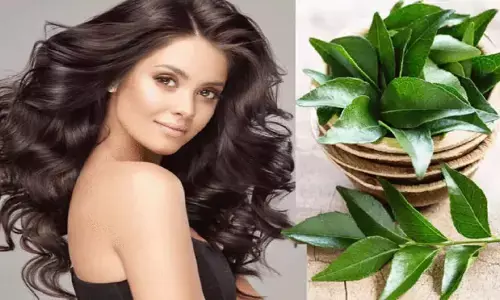 Curry Leaves Hair care: बालों को झड़ने एवं सफेद होने से बचाये करी पत्ता
