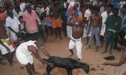 यह डरावना है: आंध्र प्रदेश में एक शख्स ने बकरी की जगह इंसान की बलि चढ़ा दी यह डरावना है: आंध्र प्रदेश में एक शख्स ने बकरी की जगह इंसान की बलि चढ़ा दी