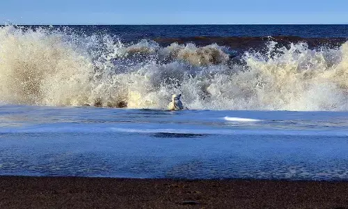 सपने में दिखे बाढ़, बारिश और समुद्र तो आपके साथ होने वाला है कुछ ऐसा, जानिए!