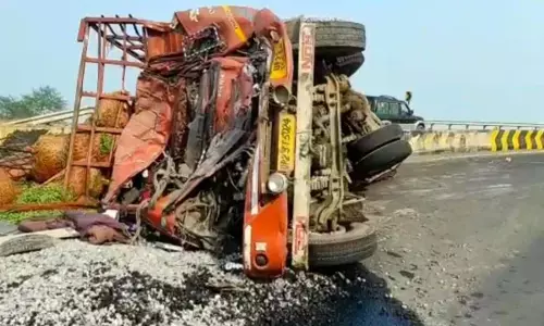 Truck carrying UP peas from Jabalpur overturns driver dies