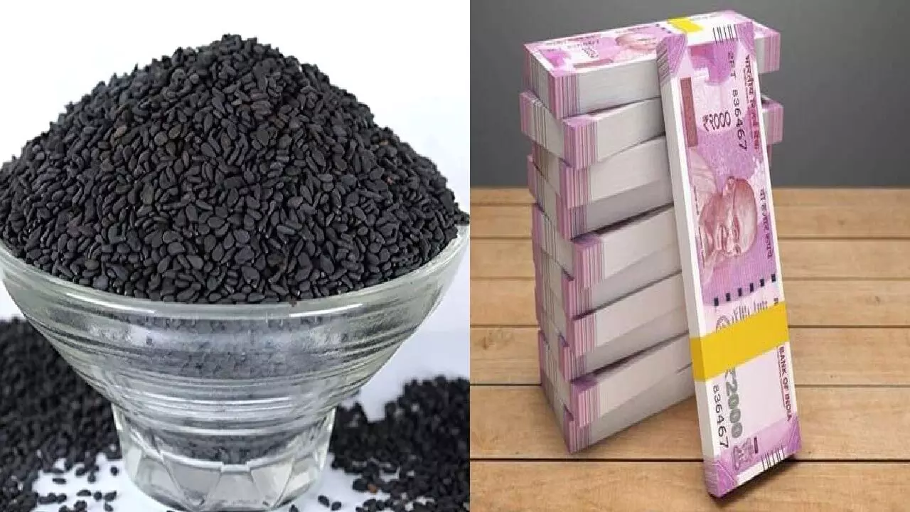 आजमाएं काले तिल का टोटका और बन जाएं मालामाल, बड़े-बड़े बिजनेसमैन करते है इसका उपयोग, जानिए!