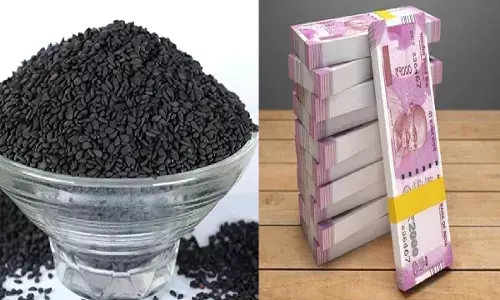 आजमाएं काले तिल का टोटका और बन जाएं मालामाल, बड़े-बड़े बिजनेसमैन करते है इसका उपयोग, जानिए!