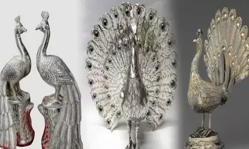 घर में रखें चांदी का मोर, खुल जाएंगी आपकी किस्मत, घर में गिरेंगे इतने पैसे जितने कोई बिजनेसमैन न कमाता होगा