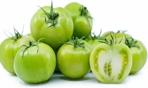 हरे टमाटर से इम्यूनिटी को बनाए मजबूत, हेल्थ के लिए है फायदेमंद