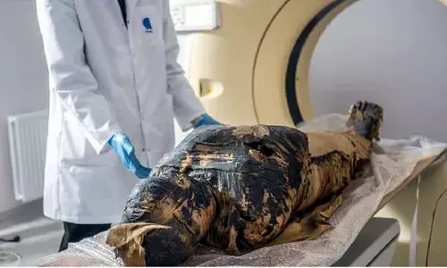 मिस्र में 2 हज़ार साल पुरानी ममी के पेट में मिला सुरक्षित भ्रूण, सब हैरान रह गए