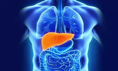 इन चीजों का सेवन करने से होता है लीवर को नुकसान इन चीजों का सेवन करने से होता है लीवर को नुकसान