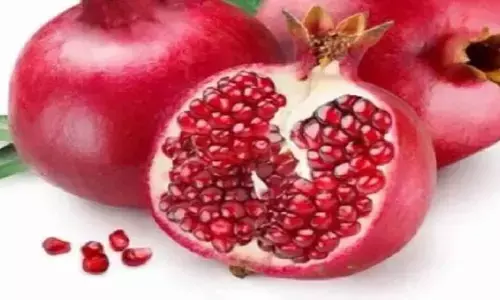 सर्दियों में अनार का सेवन करने से होते हैं अनेक अद्भुत फायदें सर्दियों में अनार का सेवन करने से होते हैं अनेक अद्भुत फायदें