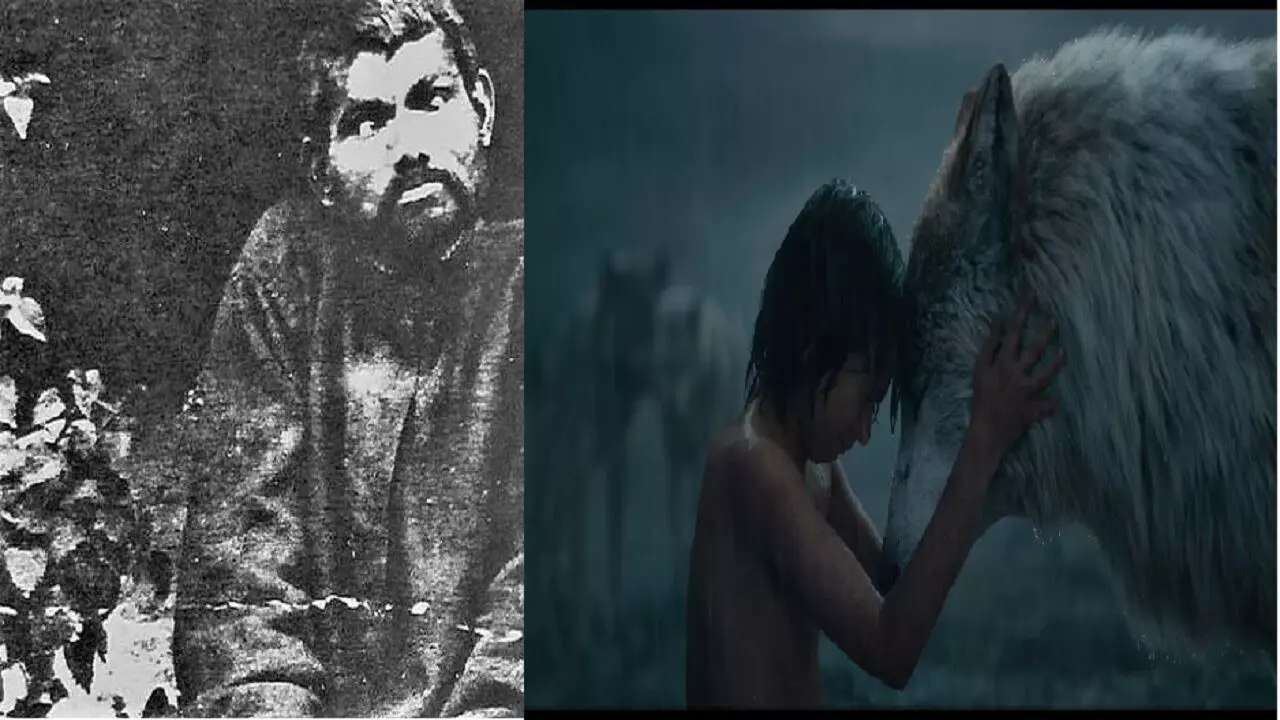 Story Of Mowgli: कहानी उस बच्चे की जिसे भेड़ियों ने पाला, उसे हम सब मोगली के नाम से जानते हैं