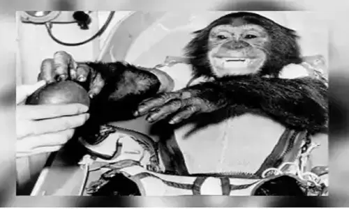 आज ही के दिन पहली बार NASA ने अंतरिक्ष में भेजा था चिम्पांजी, फिर उसके साथ क्या हुआ?
