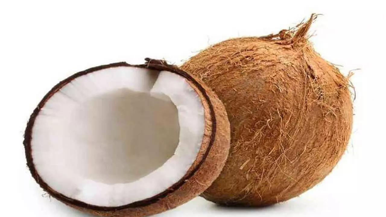 महिलाएं इस वजह से नही फोड़ती है नारियल, हर शुभ काम में होता है इसका उपयोग