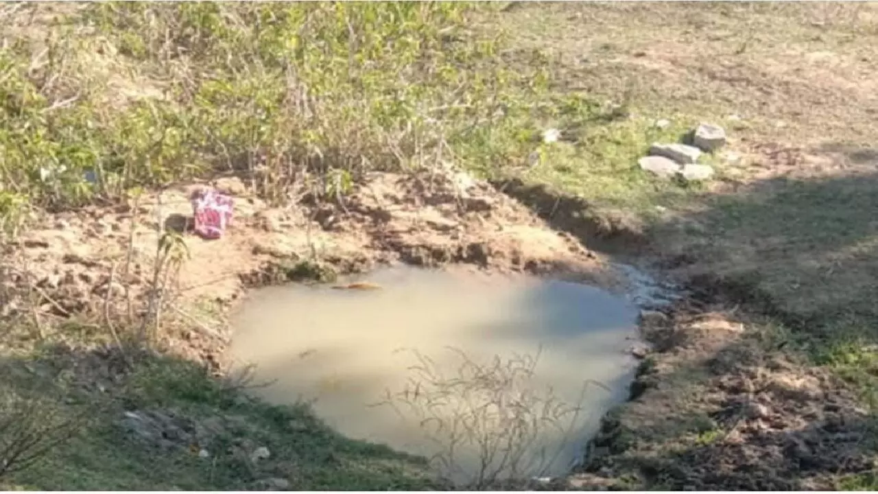 शहडोल: पानी से भरे गड्ढे में डूबने से दो चचेरे भाइयों की थम गई सांसे, गांव में शोक का माहौल