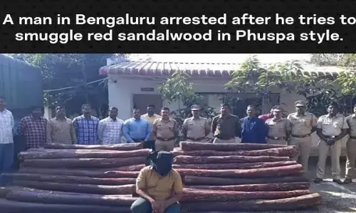 पुष्पा फिल्म देखकर बेंगलुरु का युवक लाल चंदन की तस्करी कर रहा था, पकड़े जाने पर कहा मैं झुकेगा नहीं साला पुष्पा फिल्म देखकर बेंगलुरु का युवक लाल चंदन की तस्करी कर रहा था, पकड़े जाने पर कहा मैं झुकेगा नहीं साला