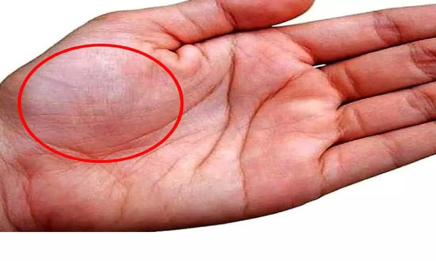 जिनके हाँथ में है ऐसा निशान, किस्मत भी हो जाती है उनकी, यह निशान दिलाता है अपार सम्पति