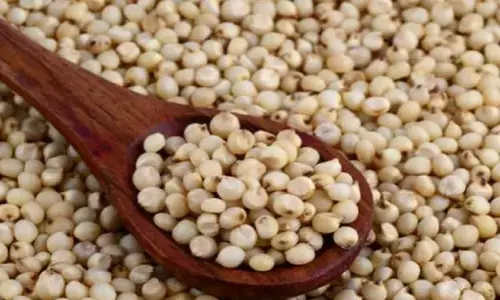 Blood Sugar level ko Cantrol  karen Jowar kee roti: ब्लड शुगर लेवल को कंट्रोल करें ज्वार की रोटी