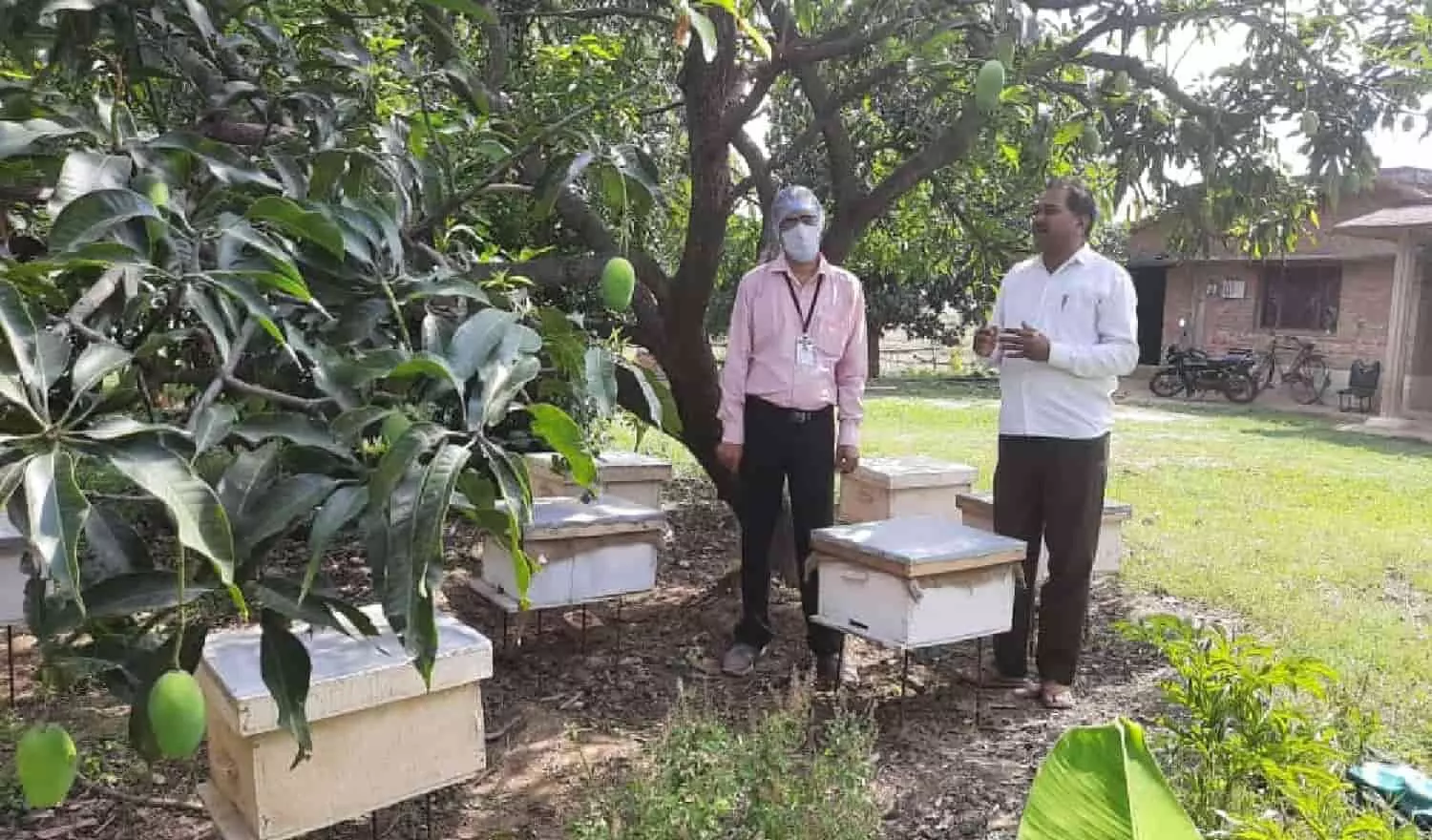 रीवा: नौकरी छोड़ शुरू किया शहद का व्यवसाय, कमा रहे प्रतिवर्ष 14 लाख