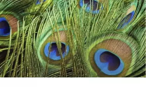 घर के मंदिर में रखें यह चीजें, प्रसन्न हो जाएंगी माता लक्ष्मी