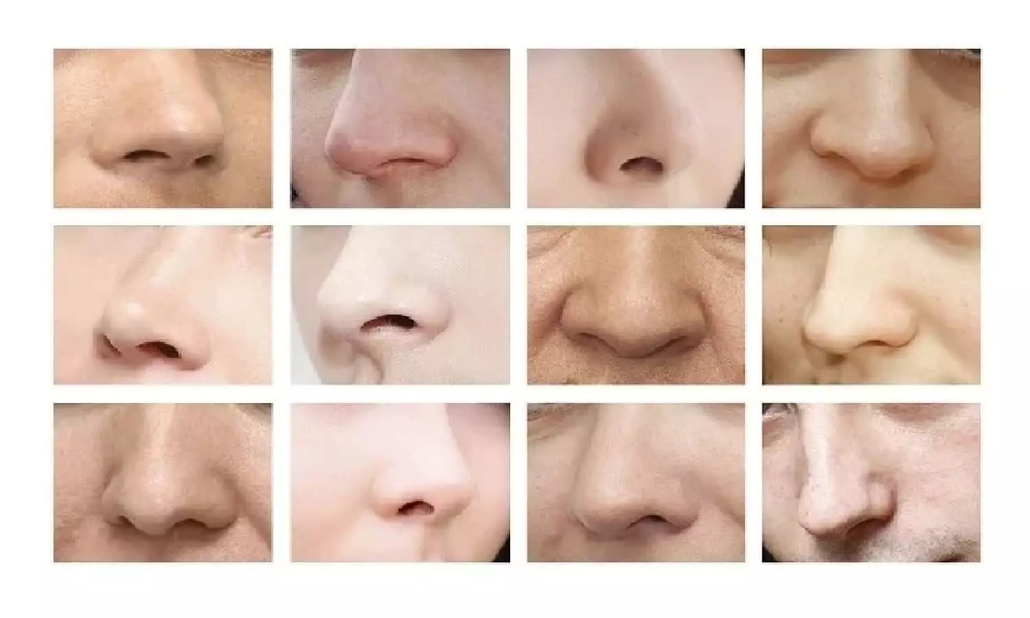 नाक की बनावट से जाने कैसे है आपका स्वभाव और भविष्‍य