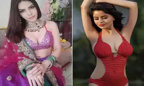 Happy Birthday Sherlyn Chopra: विवादित बयानों और बोल्ड अदाओ के चलते लाइमलाइट में रहीं शर्लिन, जानिए कैसे हुई करियर की शुरुआत