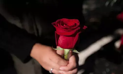 गुलाब के टोटका करने से शुरू हो जाएंगे आपकी जिंदगी में चमत्कार, जानिए!