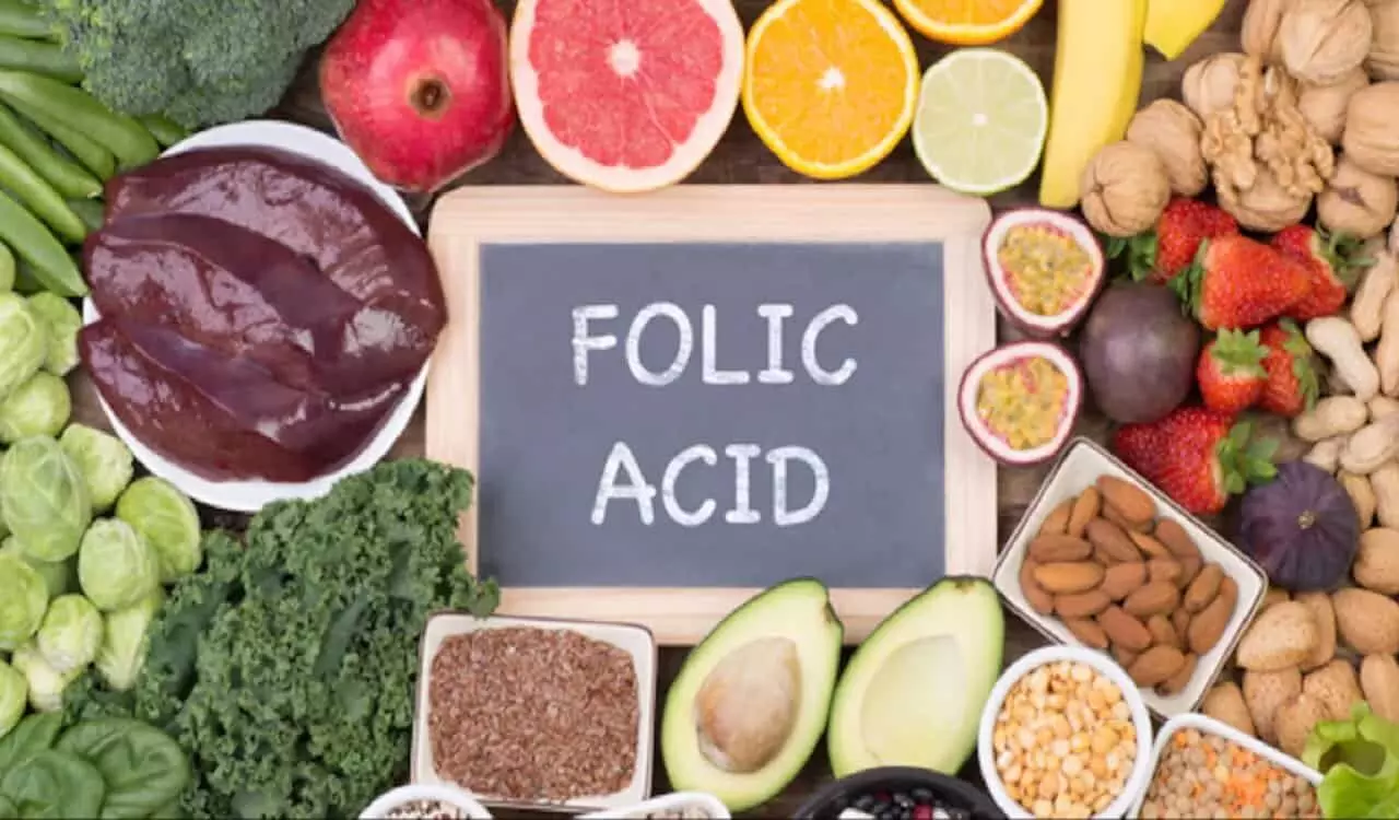 डाइट में शामिल करें Folic acid युक्त पदार्थ मिलेगें ढ़ेर सारे फायदे