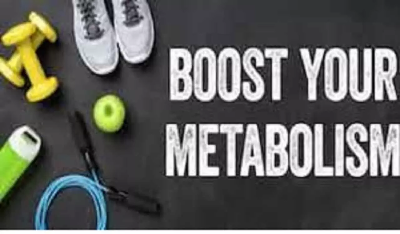 Metabolism Booster: मेटाबॉलिज्म को बूस्ट करना है तो अपनाएं ये तरीके